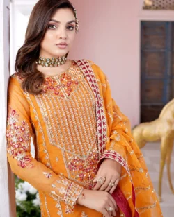 Beautiful Orange Salwar Kameez Party Dress