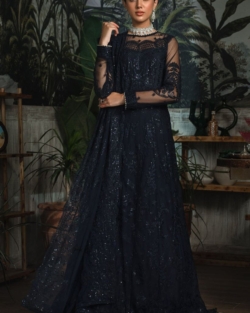 Pakistani Black Embroidered Net Wedding Dress