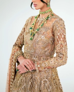 Pakistani Bridal Back Gold Tail Gown