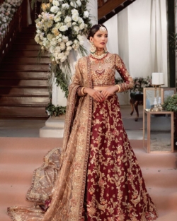 Pakistani Bridal Blood Red Lehenga Choli