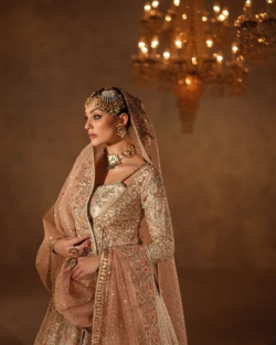 Pakistani Bridal Embellished Angrakha Pishwas Lehenga