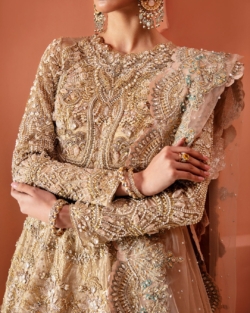 Pakistani Bridal Embellished Gold Pearl Gown