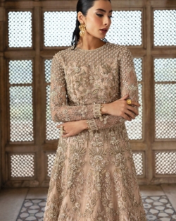 Elegant Pakistani Bridal Pink Pishwas Lehenga