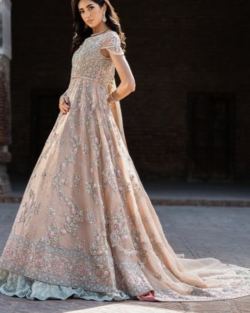 Pakistani Bridal Royal Gown Lehenga In Pink