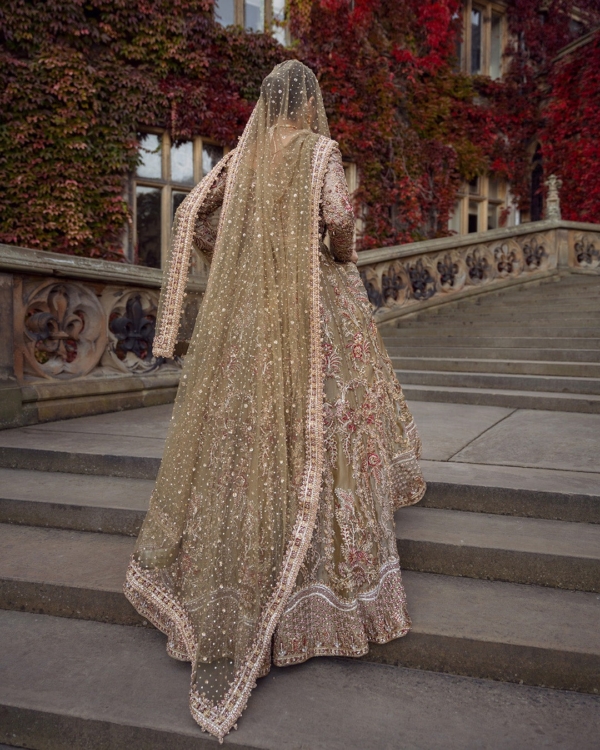 Pakistani Bridal Tissue Lehenga Choli Set - Image 4