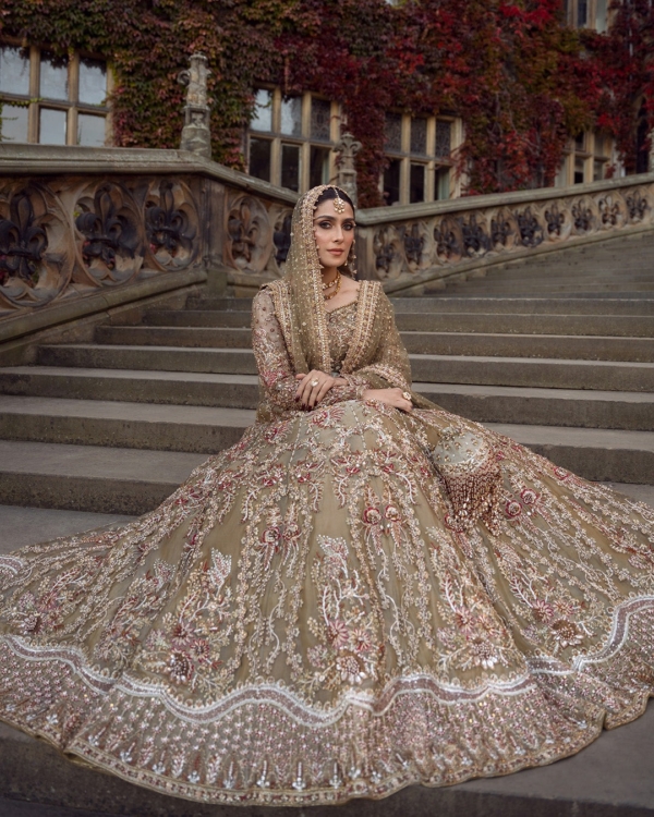 Pakistani Bridal Tissue Lehenga Choli Set - Image 5