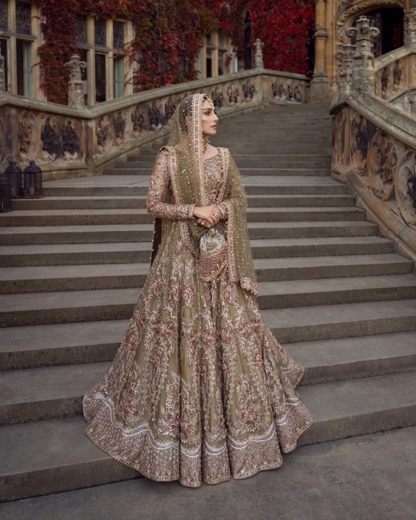 Pakistani Bridal Tissue Lehenga Choli Set - Image 6