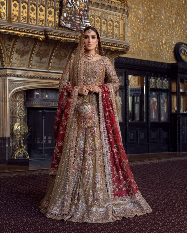 Pakistani Bridal Tissue Lehenga Choli Set - Image 7