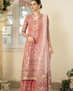 Beautiful Peach Embroidered Pakistani Party Dress