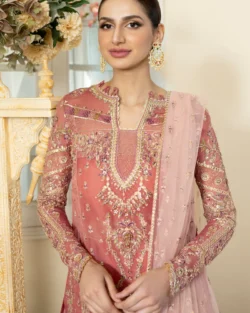 Beautiful Peach Embroidered Pakistani Party Dress