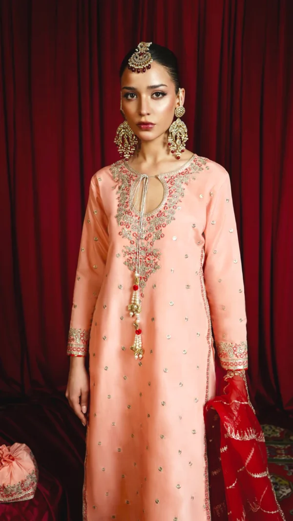 Pakistani Party Pink Salwar Kameez Dress - Image 2