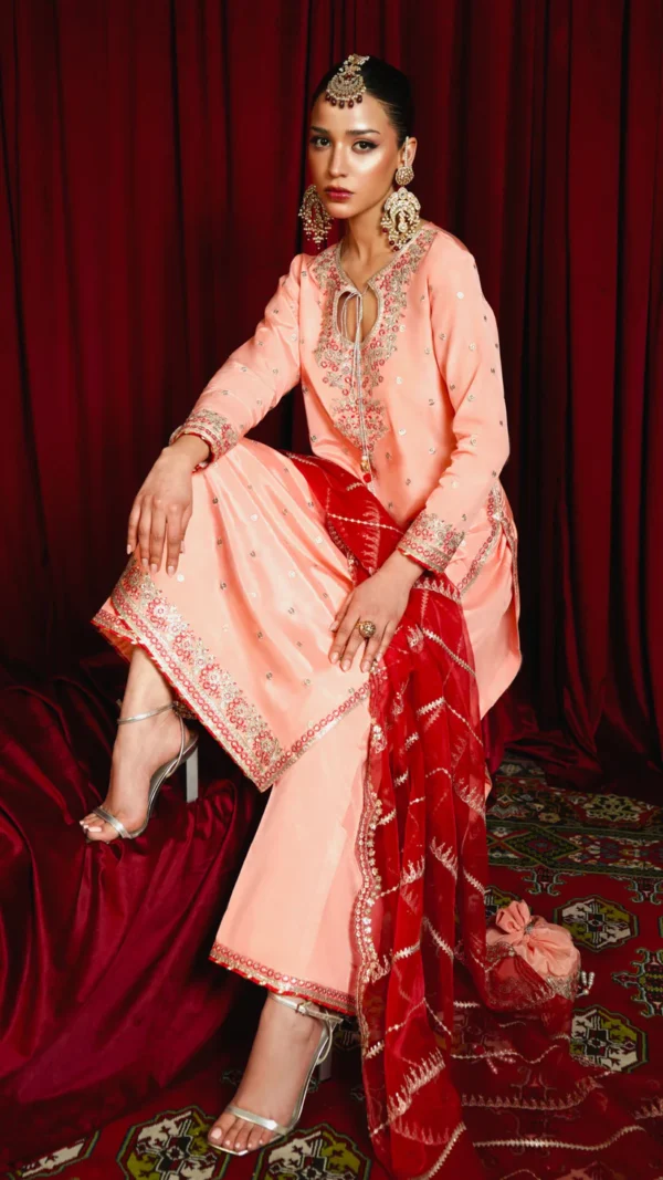 Pakistani Party Pink Salwar Kameez Dress - Image 4