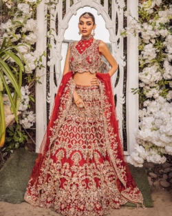 Pakistani Embellished Red Lehenga Choli Bridal Outfit