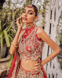 Pakistani Embellished Red Lehenga Choli Bridal Outfit