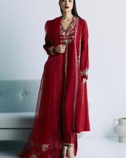 Classic Red Kameez Salwar Party Dress