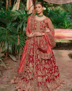 Pakistani Red Hand-Embellished Rust Tone Bridal Dress