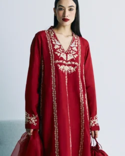 Classic Red Kameez Salwar Party Dress