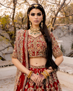 Red Raw Silk Lehenga Choli Pakistani Embroidered Bridal Dress