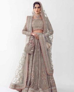 Royal Lehenga Choli Indian Bridal Dress