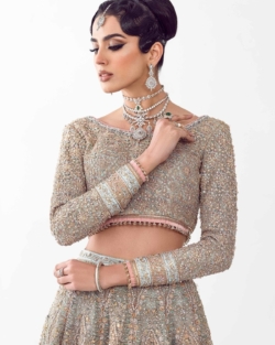 Royal Lehenga Choli Indian Bridal Dress