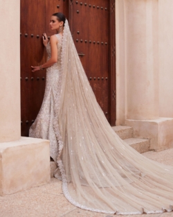 Royal Pakistani Bridal Elegant Silver Gown