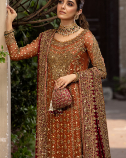 Pakistani Bridal Dress Chiffon Kameez Lehenga Wedding Outfit