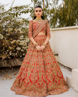 Embellished Rusty Orange Lehenga Choli Pakistani Bridal Dress