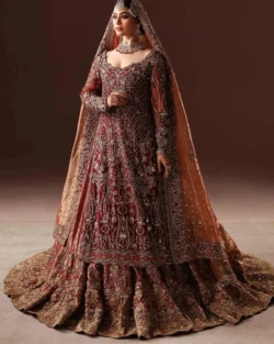 Pakistani Bridal Dresses