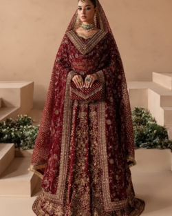 Traditional Bridal Red Anari Choli Lehenga