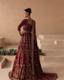 Traditional Bridal Red Anari Choli Lehenga