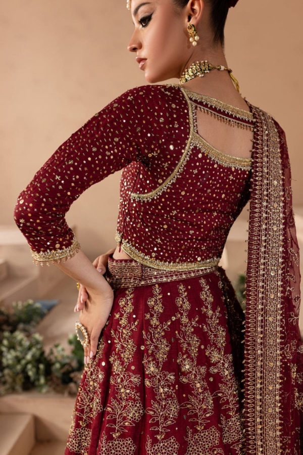 Traditional Bridal Red Anari Choli Lehenga