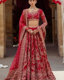 Traditional Indian Bridal Lehenga Choli Wedding Outfit