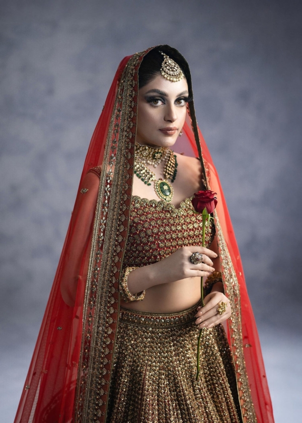 Traditional Red Lehenga Choli Bridal Dress