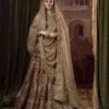 Pakistani Bridal Dress Tissue Lehenga Choli With Dupatta