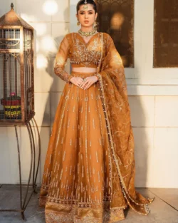 Dhoop Kinaray Pakistani Bridal Organza Dress in Marigold Yellow