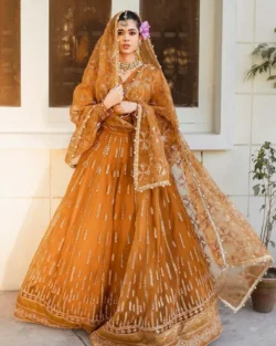 Dhoop Kinaray Pakistani Bridal Organza Dress in Marigold Yellow