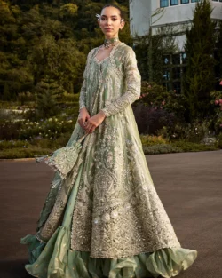 Green Hand-Embellished Pakistani Peshwas Set  Wedding & Festive Outfit