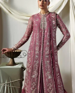Pakistani Bridal Crushed Silk Gown with Hand Embellishments & Zari