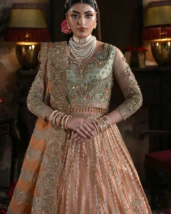 Pakistani Bridal Embroidered Net Dress with Handmade Embellishments