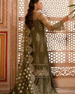 Pakistani Bridal Embroidered Organza Suit with Handmade Embellishments