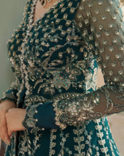 Pakistani Bridal Net Embroidered Dress with Organza Dupatta