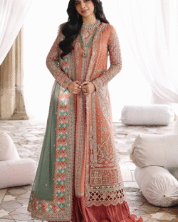 Pakistani Bridal Organza Jacket Sharara Orange Embroidered