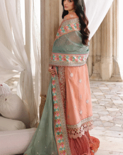 Pakistani Bridal Organza Jacket Sharara Orange Embroidered