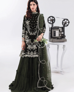 Pakistani Bridal Organza Short Shirt Sharara Dark Mehndi