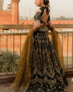 Pakistani Bridal Raw Silk Lehnga Choli Dark Mehndi