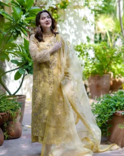 Pakistani Embroidered Organza Bridal Dress with Hand Embellishments