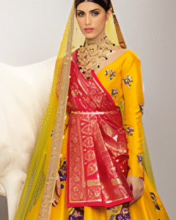 Shama Daan Pakistani Bridal Lehnga Choli Set