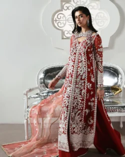 Solara Crimson Red Pakistani Bridal Organza Dress