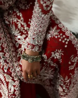 Solara Crimson Red Pakistani Bridal Organza Dress