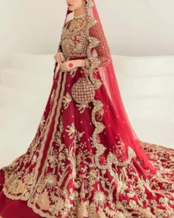 Pakistani Wedding Dresses